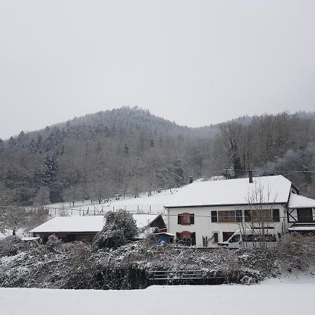 Gite Le Creux Chene Rombach-le-Franc Luaran gambar
