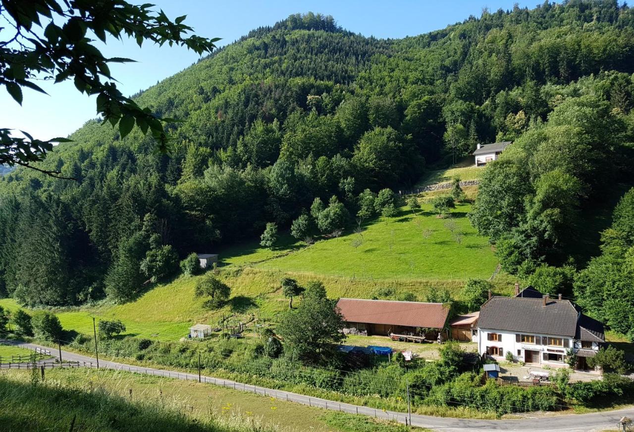 Gite Le Creux Chene Rombach-le-Franc Luaran gambar
