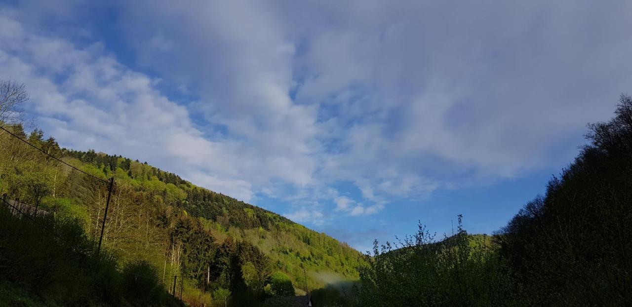 Gite Le Creux Chene Rombach-le-Franc Luaran gambar