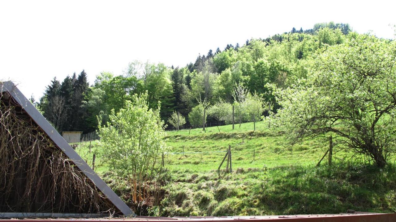 Gite Le Creux Chene Rombach-le-Franc Luaran gambar